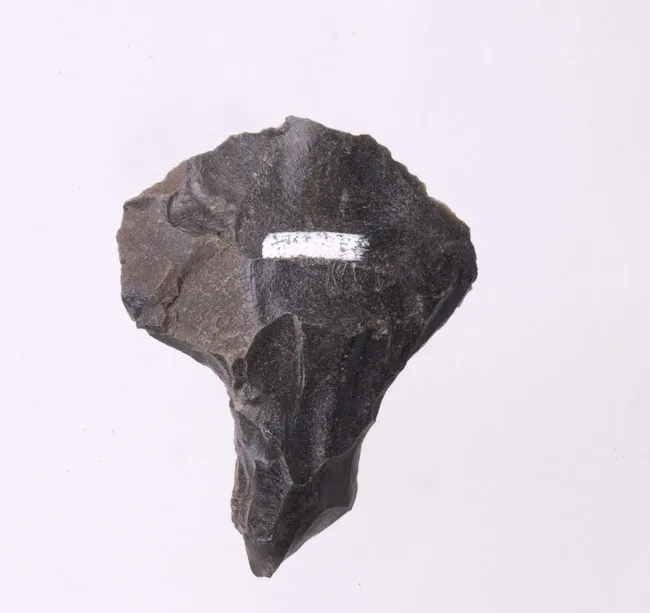 Mata'a