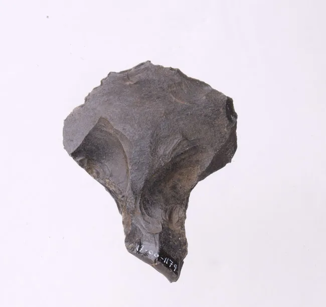 Mata'a