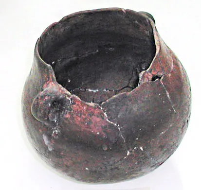 Olla monocroma