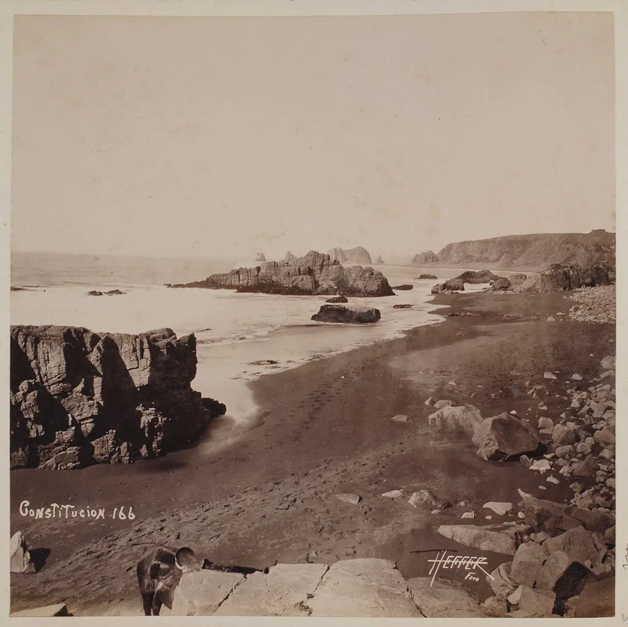 Constitución