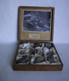 Mineral