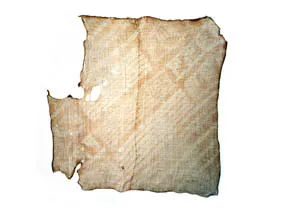 Gasa pintada