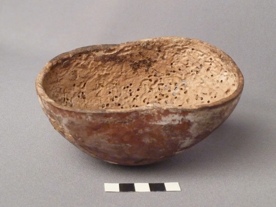 Cuenco de media calabaza
