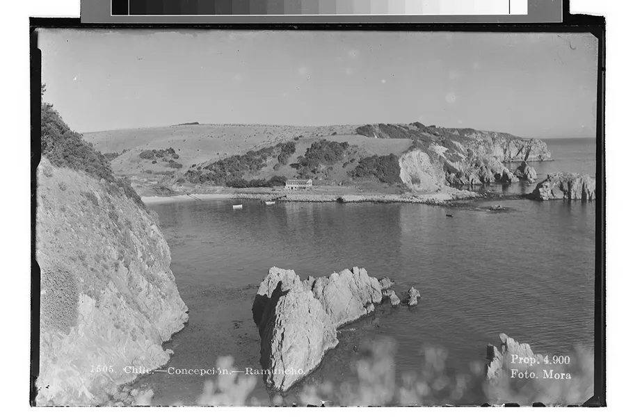 Chile. Concepción – Ramuncho