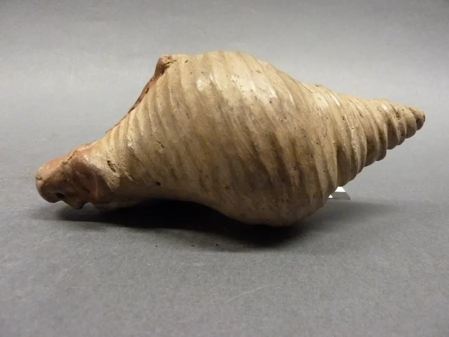 Caracol antropomorfo: músico. Ocarina. Música