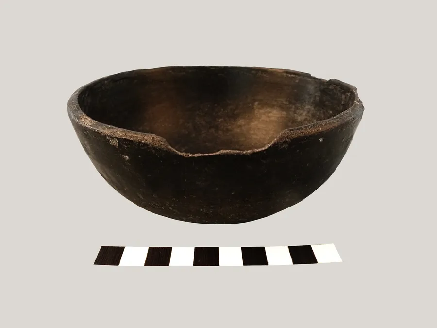 Escudilla monócroma.