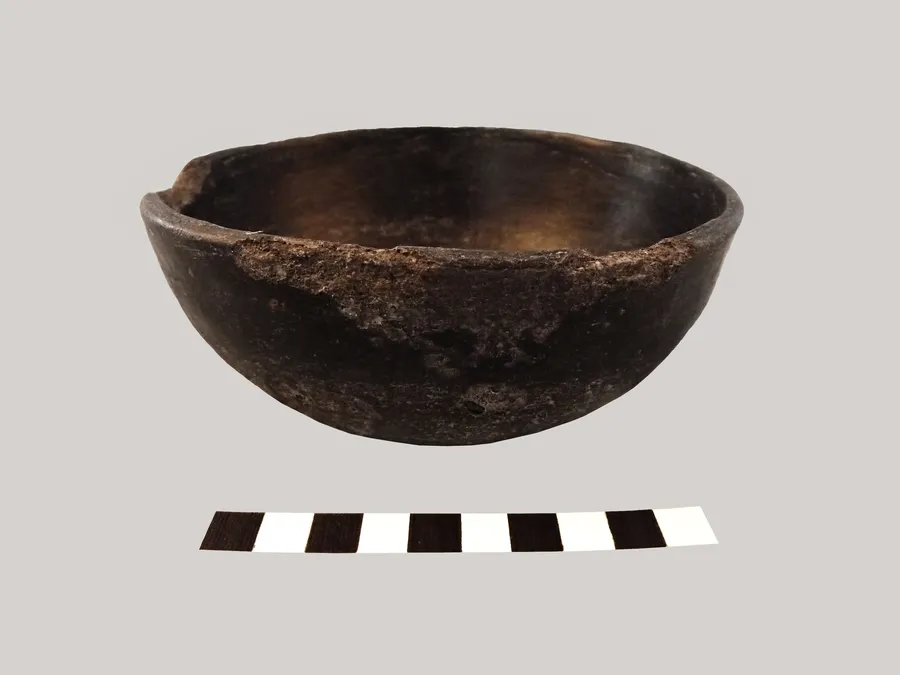 Escudilla monócroma.