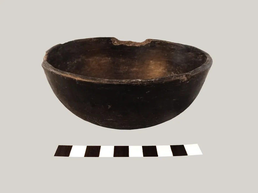 Escudilla monócroma.