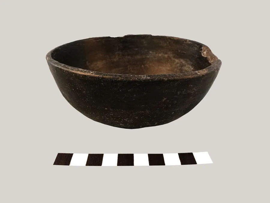 Escudilla monócroma.