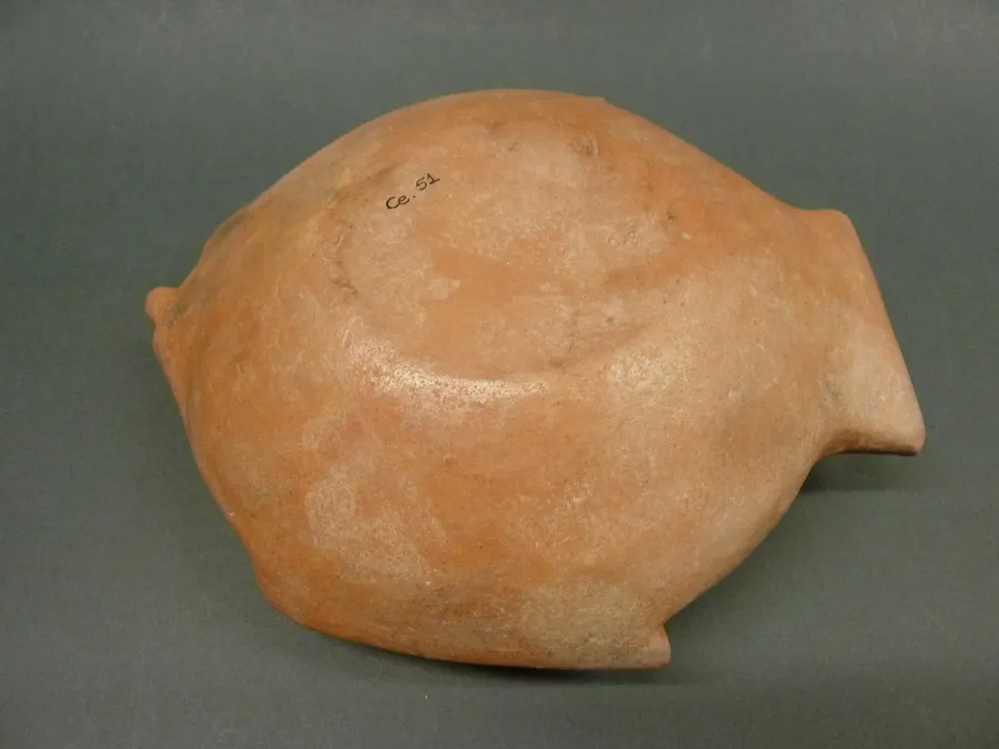 Recipiente ictiomorfo (Reproducción)