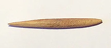 Cabezal de arpón