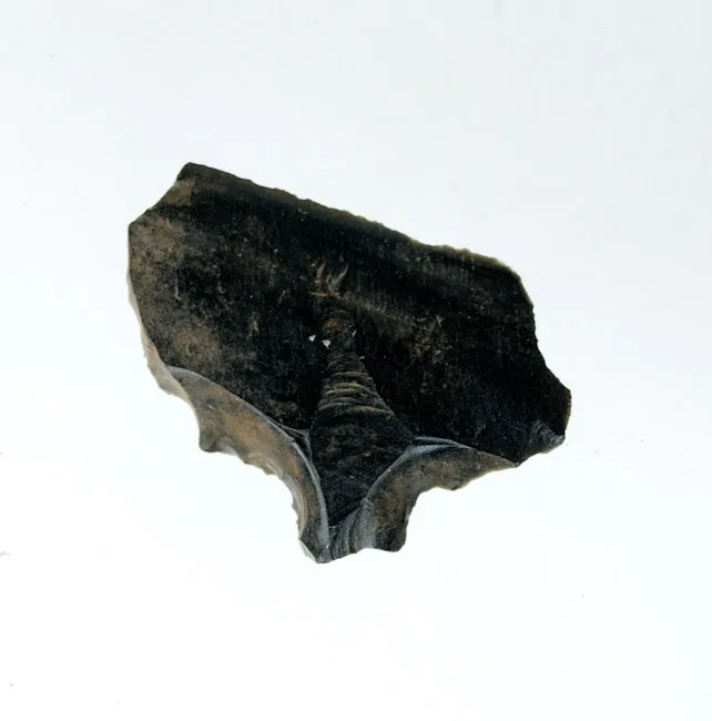 Mata'a
