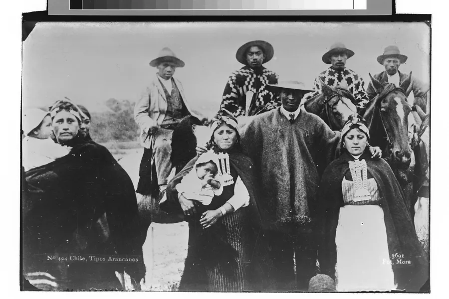 Chile, Tipos de Araucanos