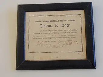 Diploma