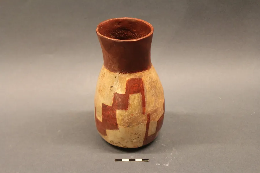 Jarro bicromo. Vaso