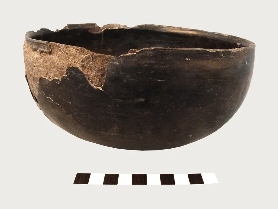 Escudilla monócroma