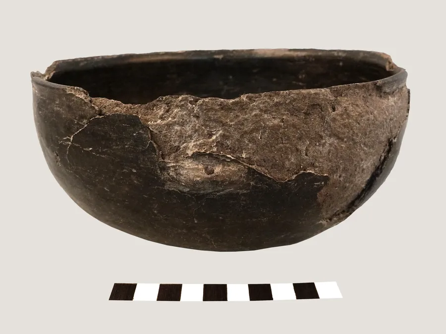 Escudilla monócroma