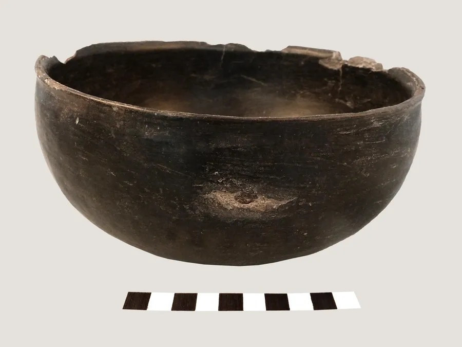 Escudilla monócroma