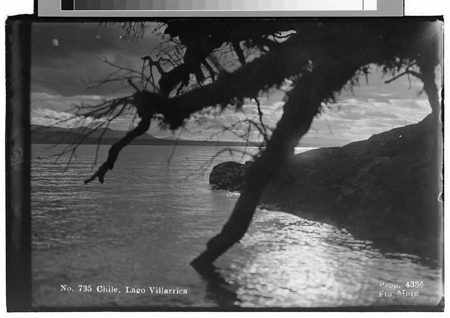 Chile. Lago Villarrica
