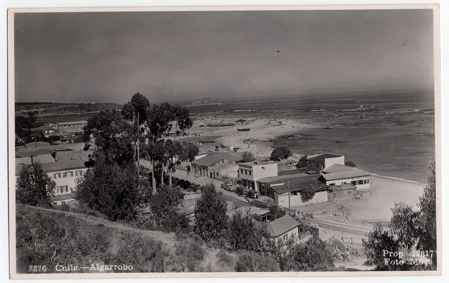 Chile – Algarrobo.