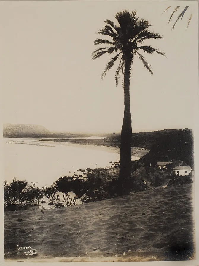Concón