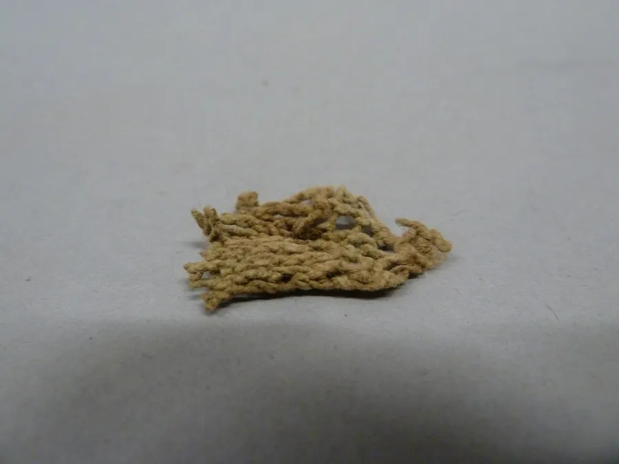 Fragmento de anillado