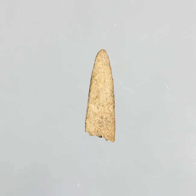 Pulidor (arqueológico)