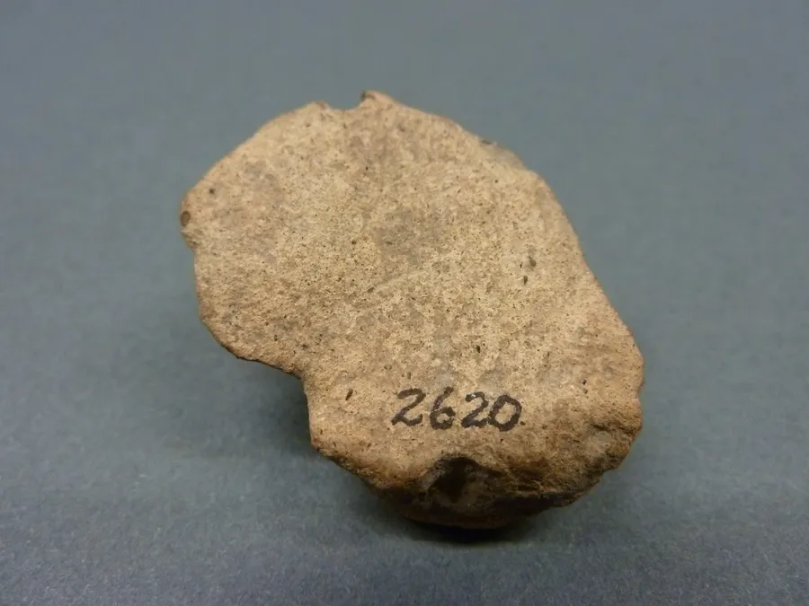 Cabeza antropomorfa