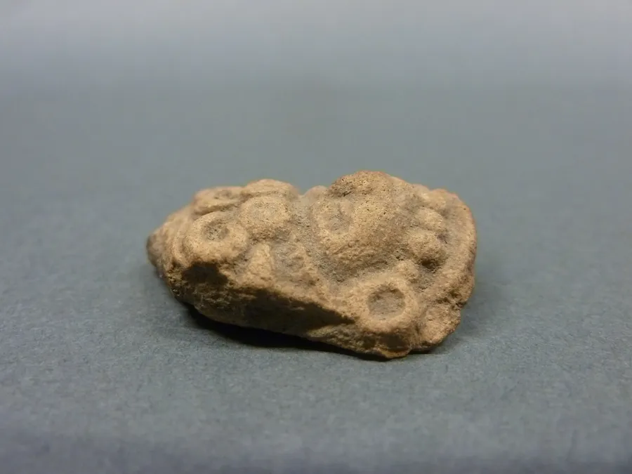 Cabeza antropomorfa