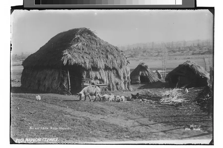 Chile, Ruca Mapuche