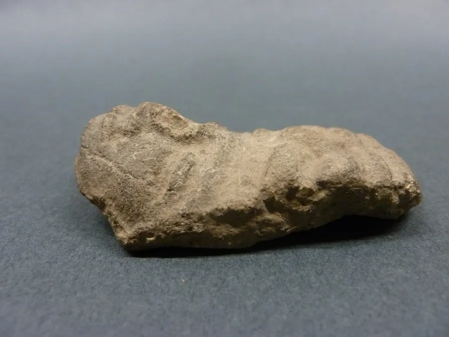 Cabeza antropomorfa