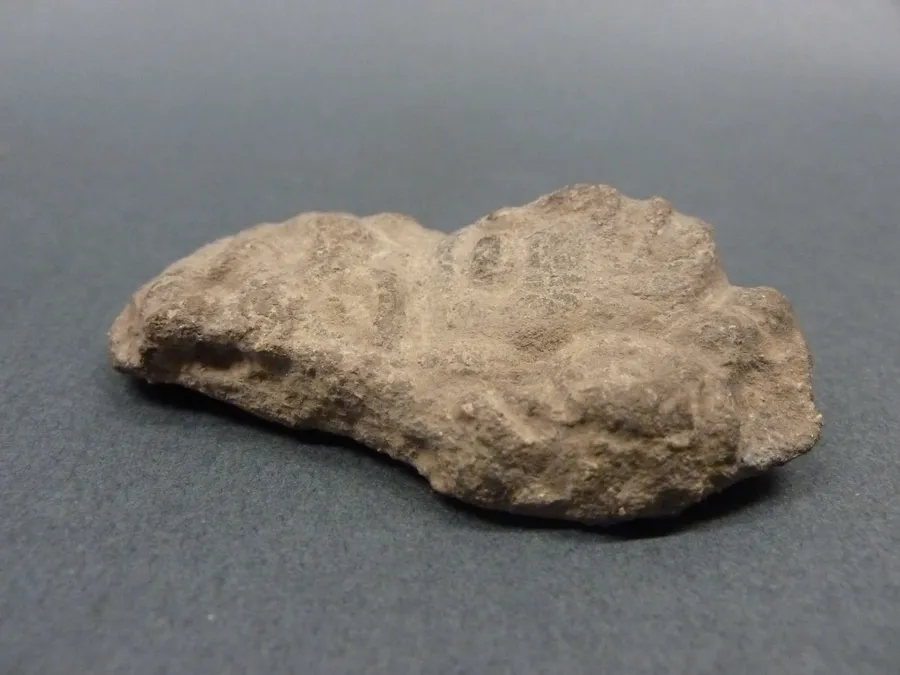 Cabeza antropomorfa